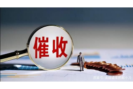 仙居为什么选择专业追讨公司来处理您的债务纠纷？